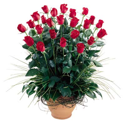  Aydın uluslararası çiçek gönderme  10 adet kirmizi gül cam yada mika vazo