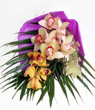  Aydn cicekciler , cicek siparisi  1 adet dal orkide buket halinde sunulmakta