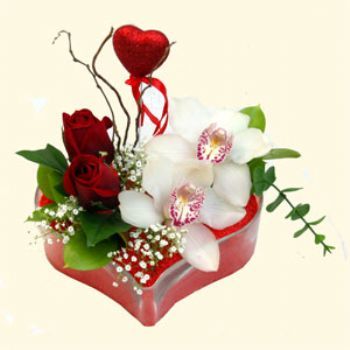  Aydn hediye sevgilime hediye iek  1 kandil orkide 5 adet kirmizi gl mika kalp