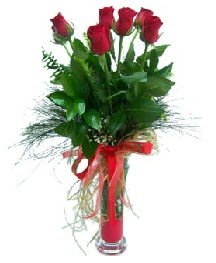 vazo içerisinde 5 kırmızı gül  Aydın güvenli kaliteli hızlı çiçek 