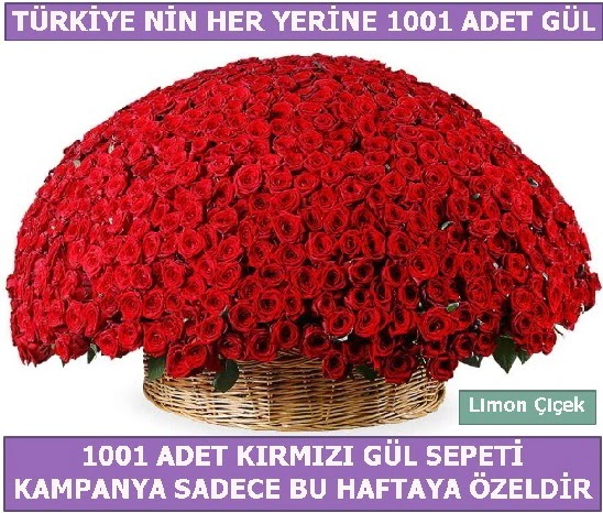1001 Adet kırmızı gül Bu haftaya özel  Aydın İnternetten çiçek siparişi 