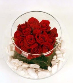 Cam fanusta 11 adet kırmızı gül  Aydın çiçek gönderme 