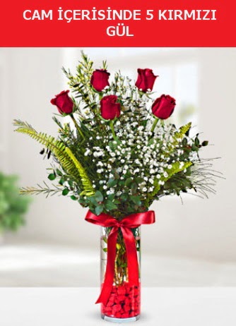 Cam içerisinde 5 adet kırmızı gül  Aydın çiçek siparişi sitesi 