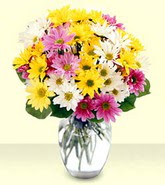 Aydın internetten çiçek siparişi  mevsim çiçekleri mika yada cam vazo