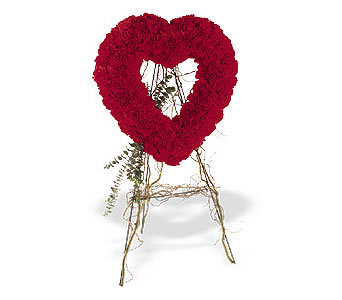  Aydın internetten çiçek satışı  karanfillerden kalp pano