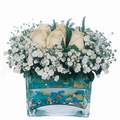 mika ve beyaz gül renkli taslar   Aydın çiçek satışı 