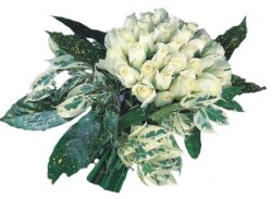  Aydın internetten çiçek siparişi  9 Beyaz gül Özel kisiler için