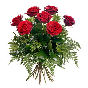  Aydın online çiçek gönderme sipariş  7 adet kırmızı gülden buket