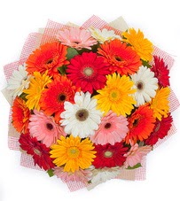 15 adet renkli gerbera buketi  Aydın yurtiçi ve yurtdışı çiçek siparişi 
