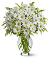 Vazo içerisinde beyaz krizantem çiçekleri  Aydın çiçekçi mağazası 