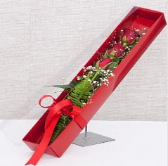 Kutu içerisinde 3 adet kırmızı gül  Aydın online çiçek gönderme sipariş 