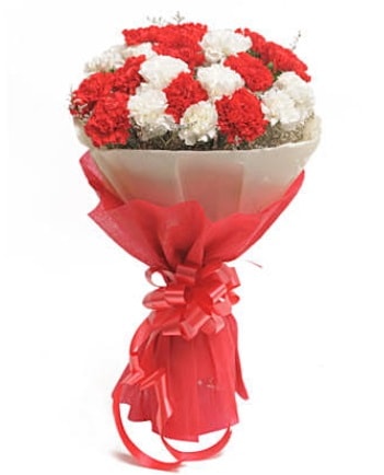 21 adet kırmızı beyaz karanfil buketi  Aydın çiçek satışı 