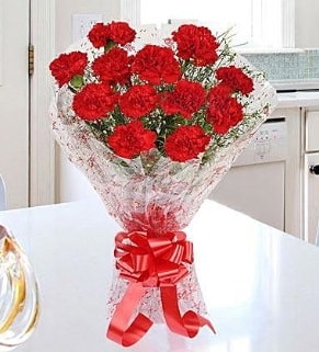 12 adet kırmızı karanfil buketi  Aydın İnternetten çiçek siparişi 